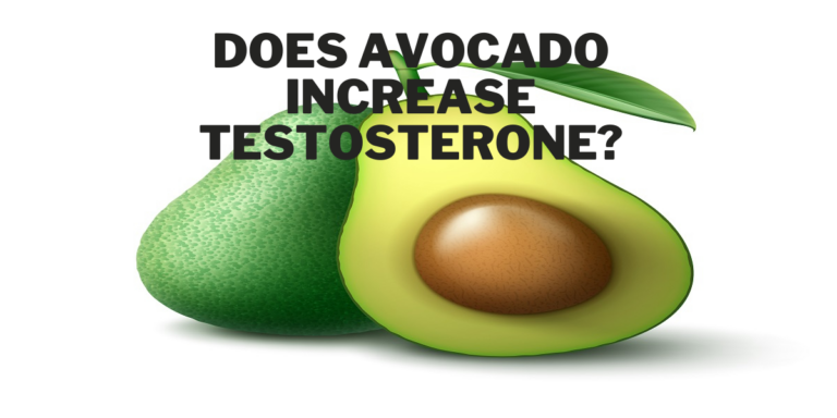 Does Avocado Increase Testosterone? Know Science